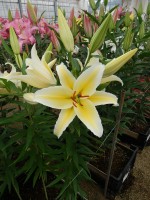 [5525 PO25 Galapagos No01.JPG]